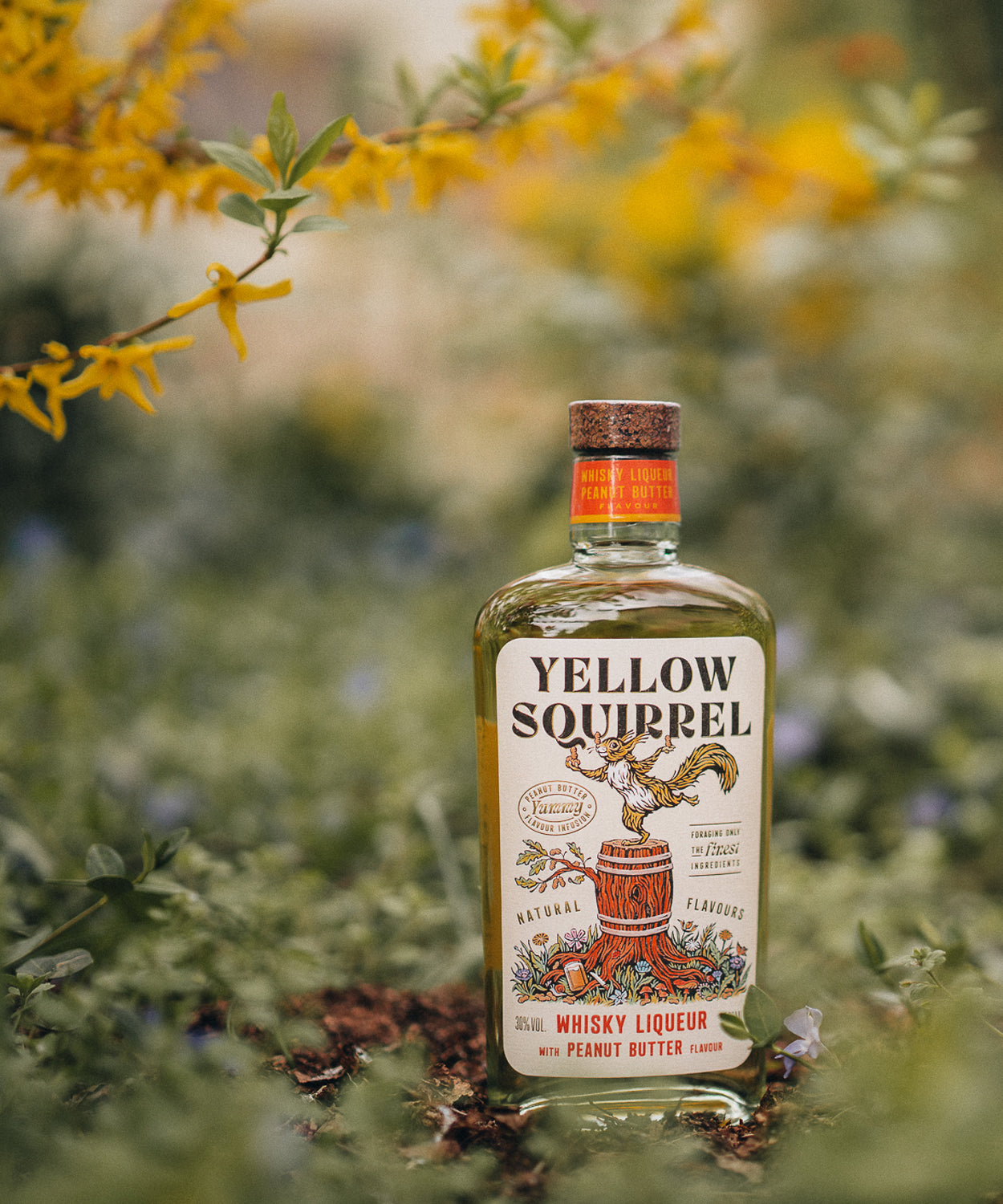 Yellow Squirrel Peanut Butter Whisky Likör