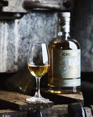 Bruichladdich Islay Barley