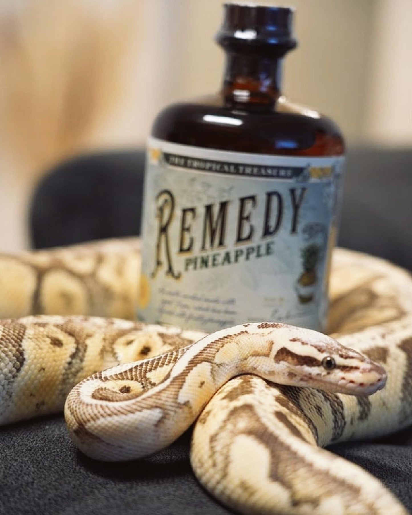 Remedy Pineapple