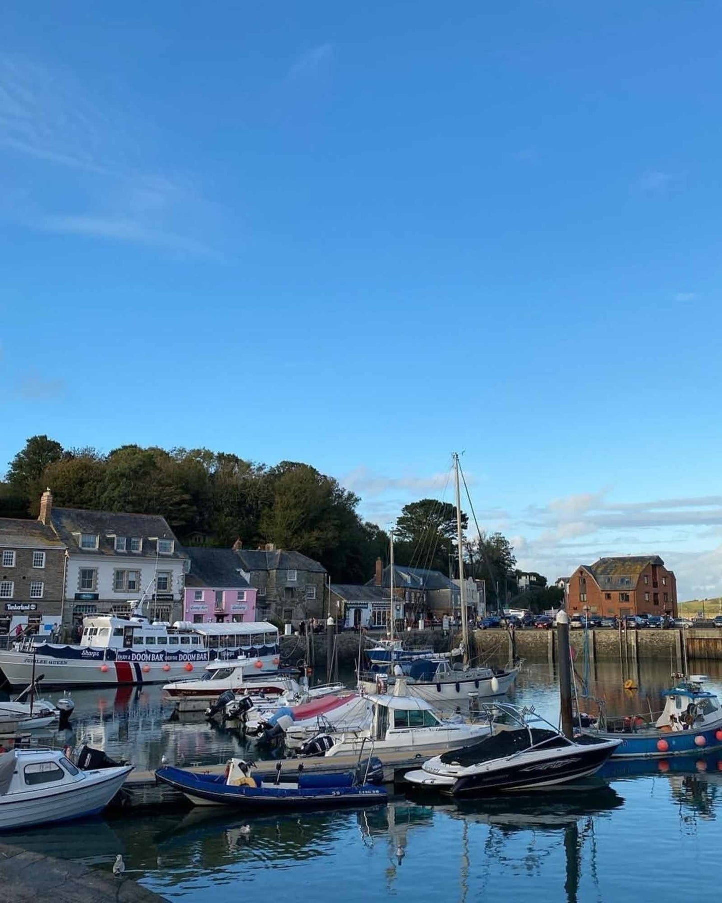 Tarquin's Mediterranean Gin