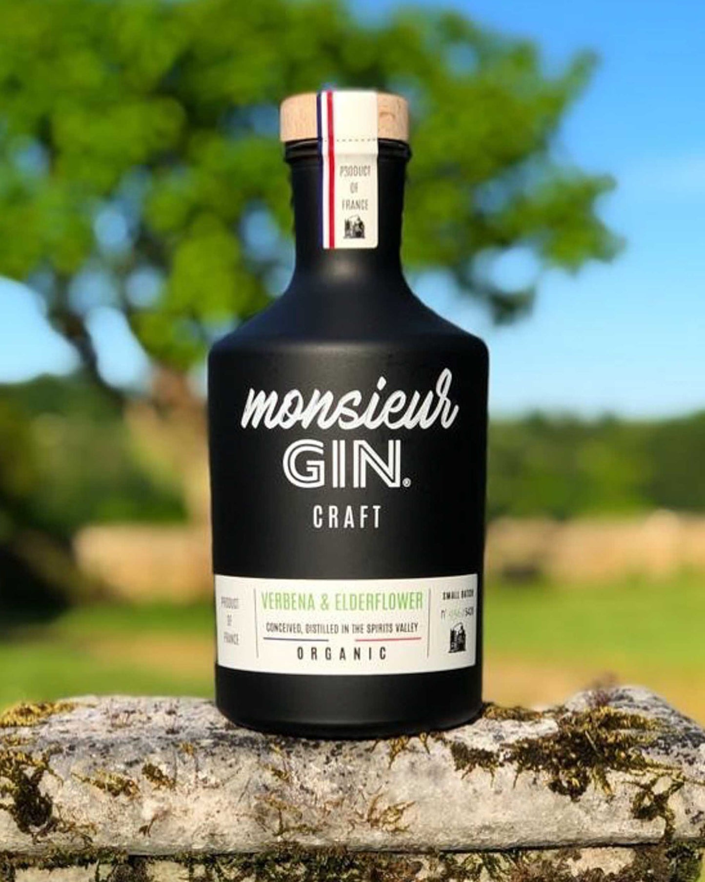 Monsieur Gin