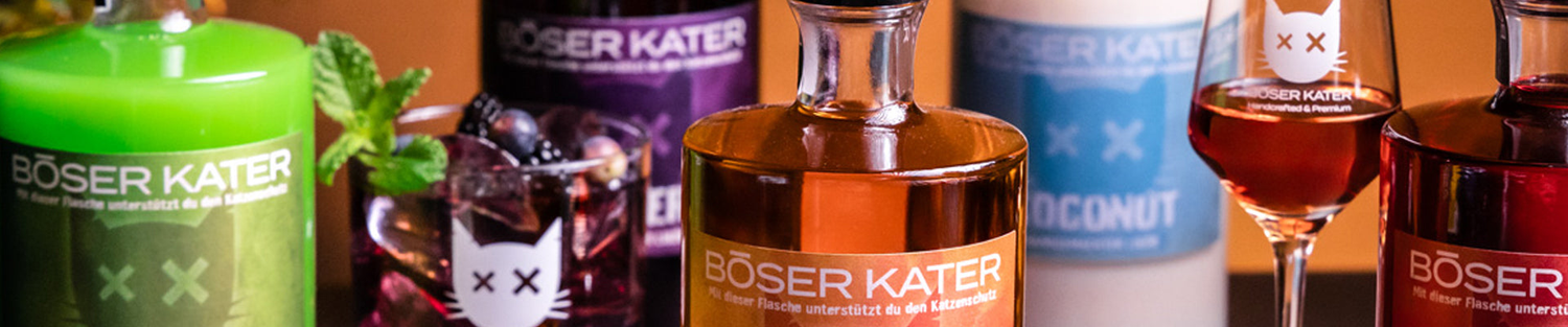 Böser Kater