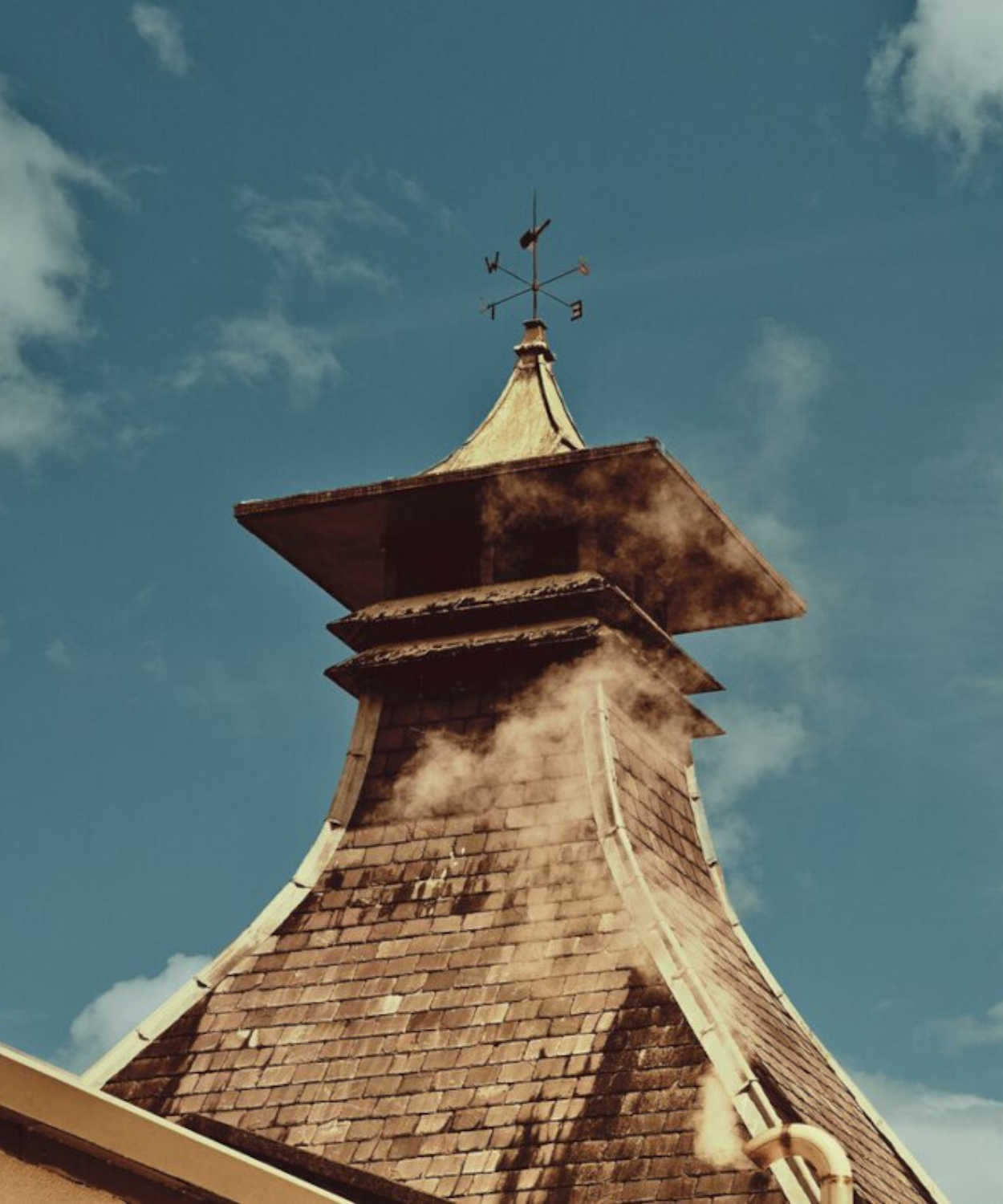 Craigellachie 2009/2025 - 16 Jahre - 1st Fill Madeira Hogshead Finish