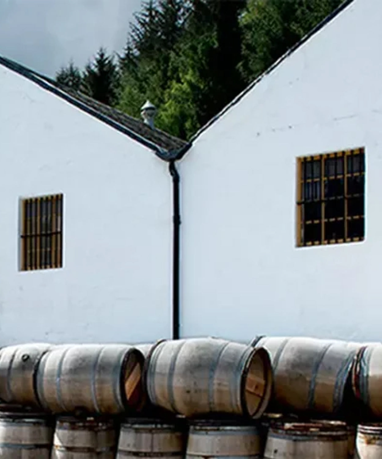 8 y.o Safe Haven (Ledaig) 2014/2023 Murray McDavid