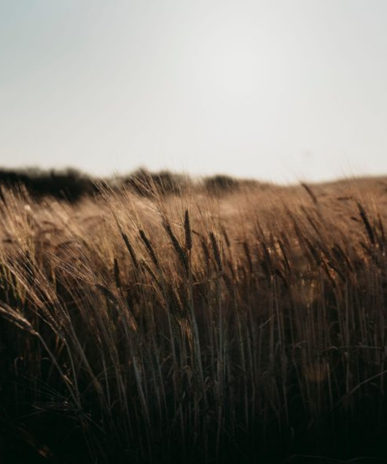 GlenAllachie 11 y.o Premier Cru Classe Wine Finish