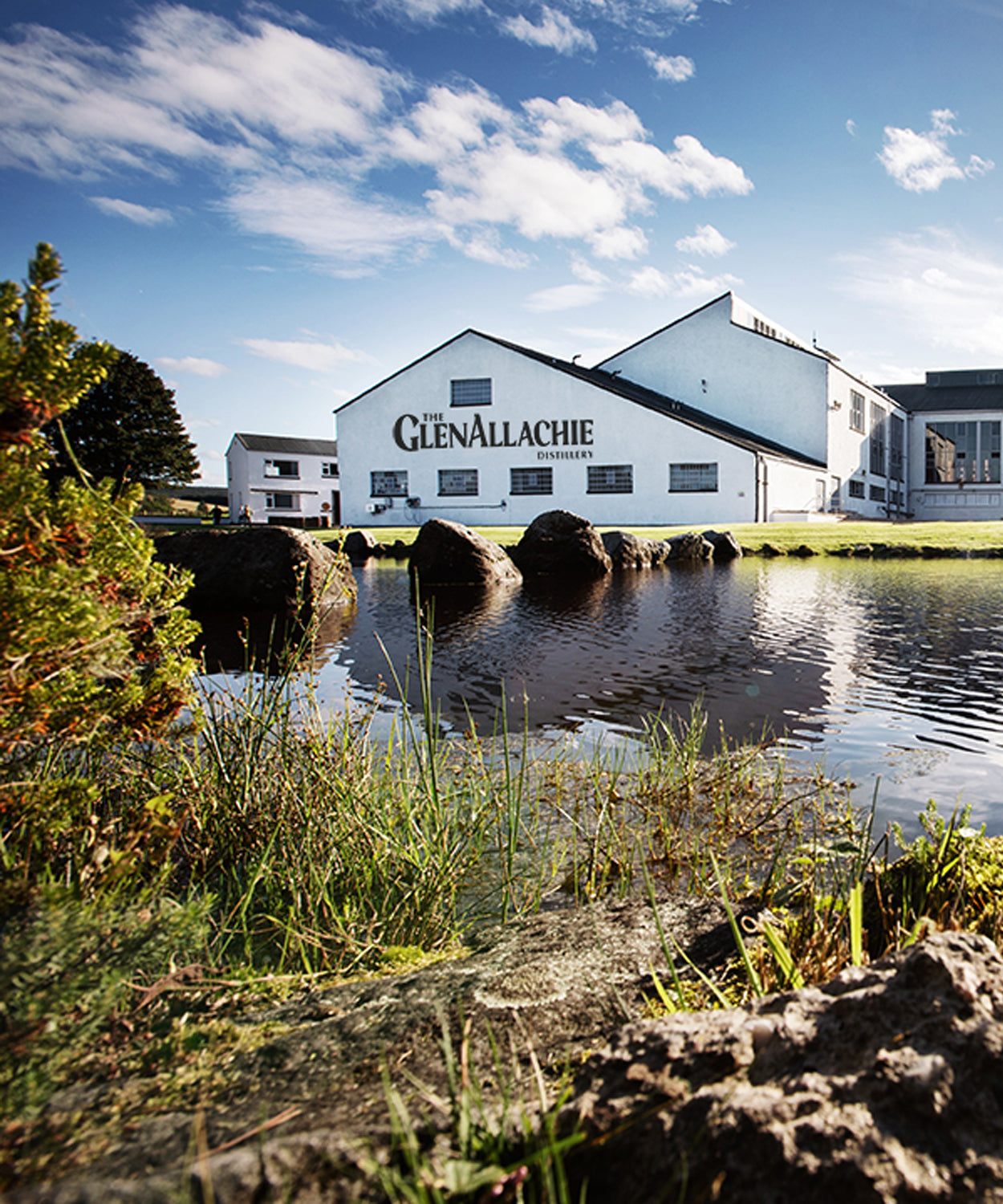 GlenAllachie 10 y.o. Grattamacco Wine Finish