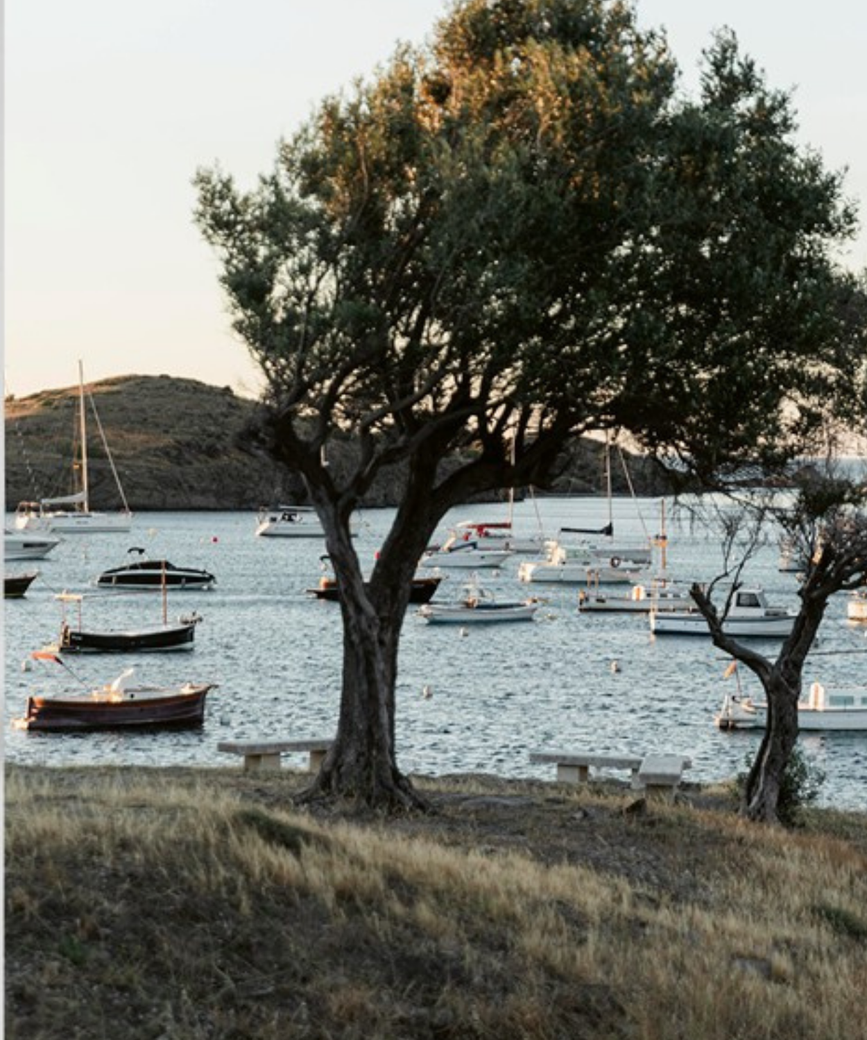 Mitilene Ouzo Piece of Greece