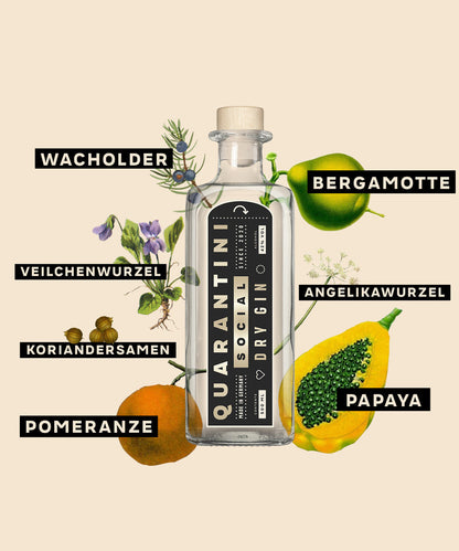 Quarantini Social Dry Gin
