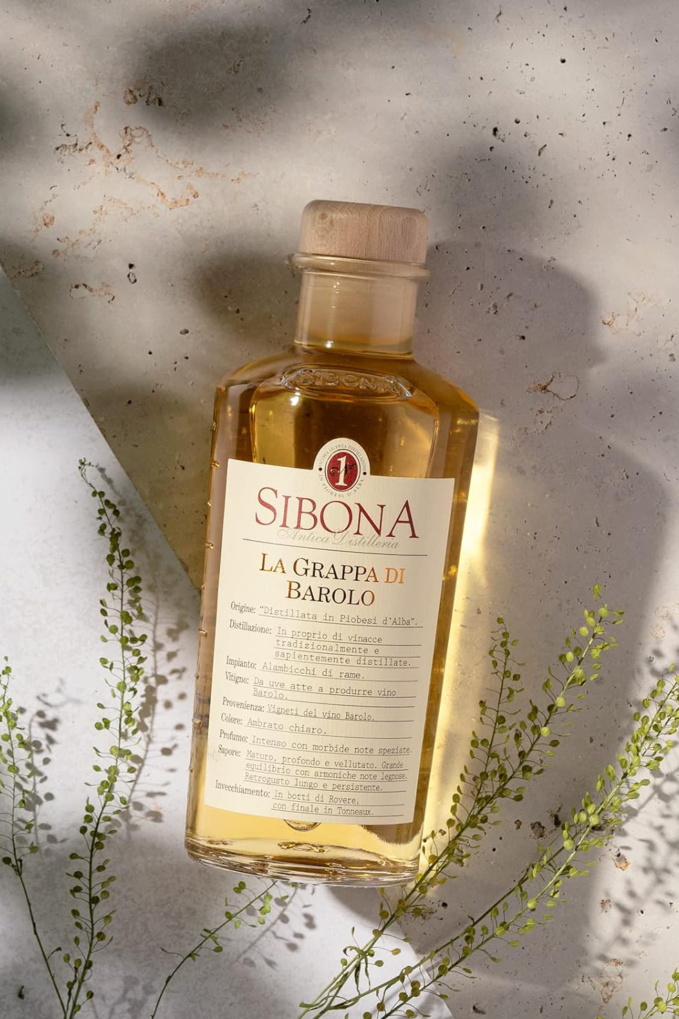 Grappa Sibona Barolo