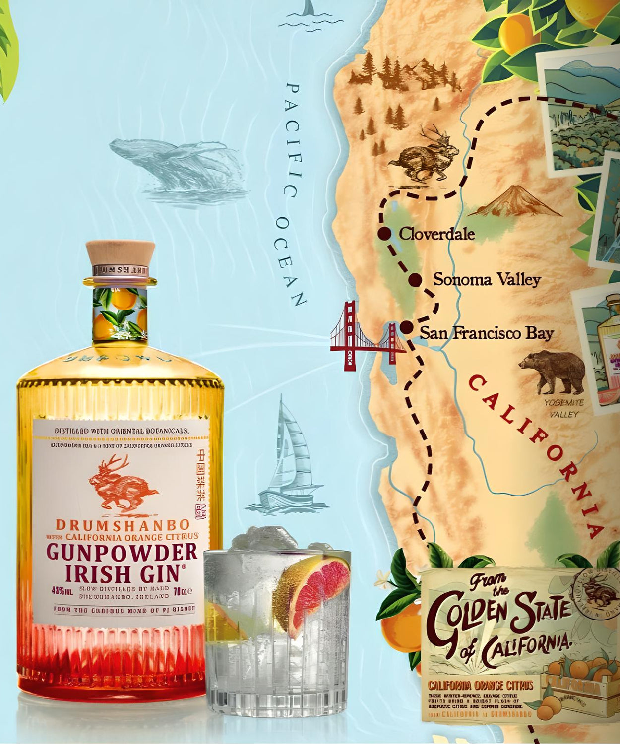 Drumshanbo Gunpowder Irish Gin Brazilian Pineapple