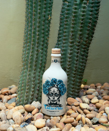 Knut Hansen Sonderedition 2025 Calavera