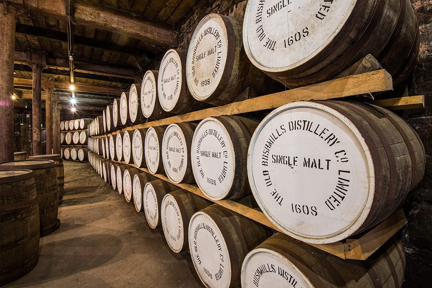 Bushmills Single Malt 10