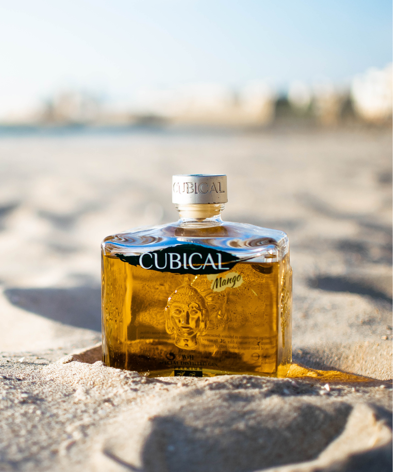 Cubical Premium Special Distilled Mango Gin + Glas