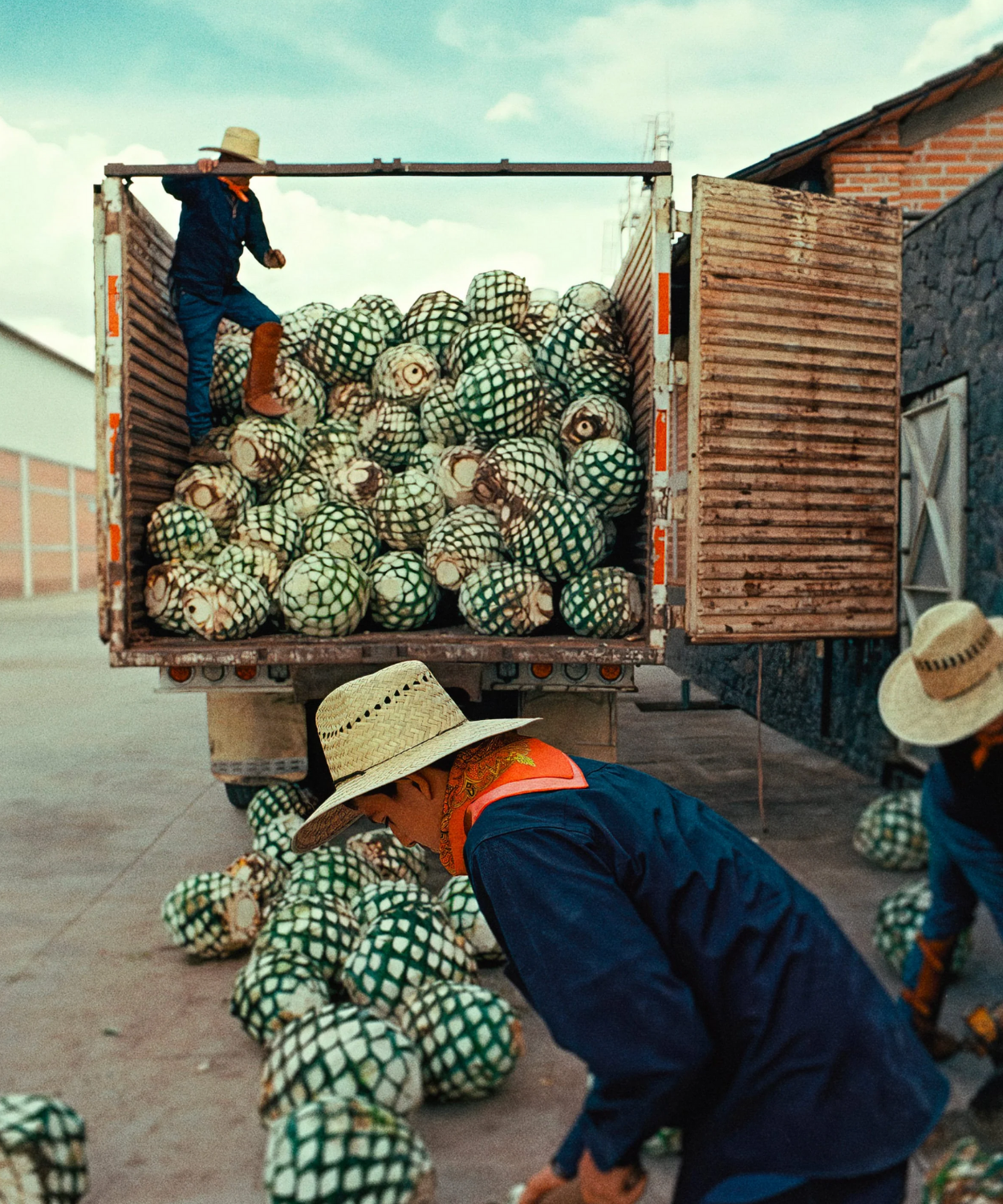 Almave Blanco Non-Alcoholic