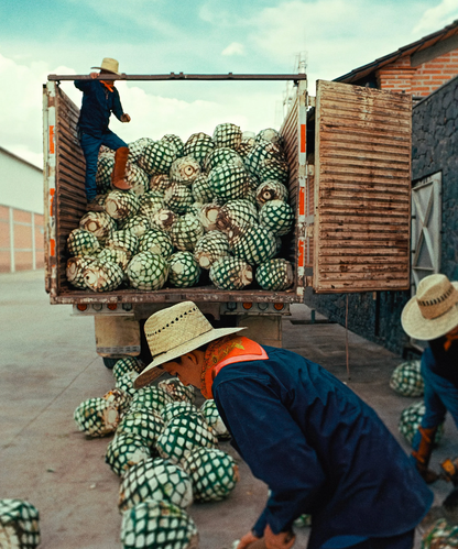 Almave Blanco Non-Alcoholic