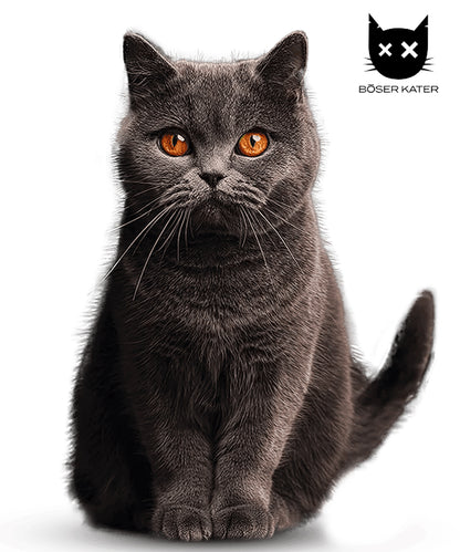 Böser Kater Royal Coffee Likör
