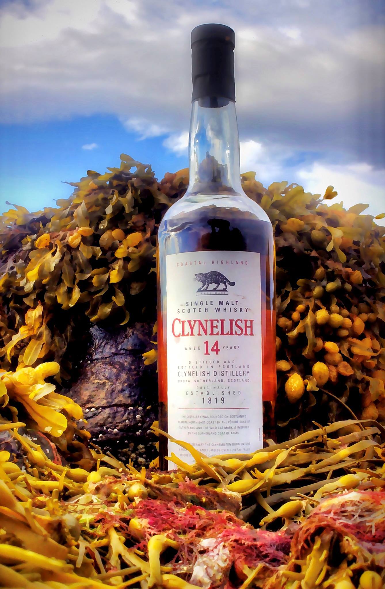 Clynelish 14