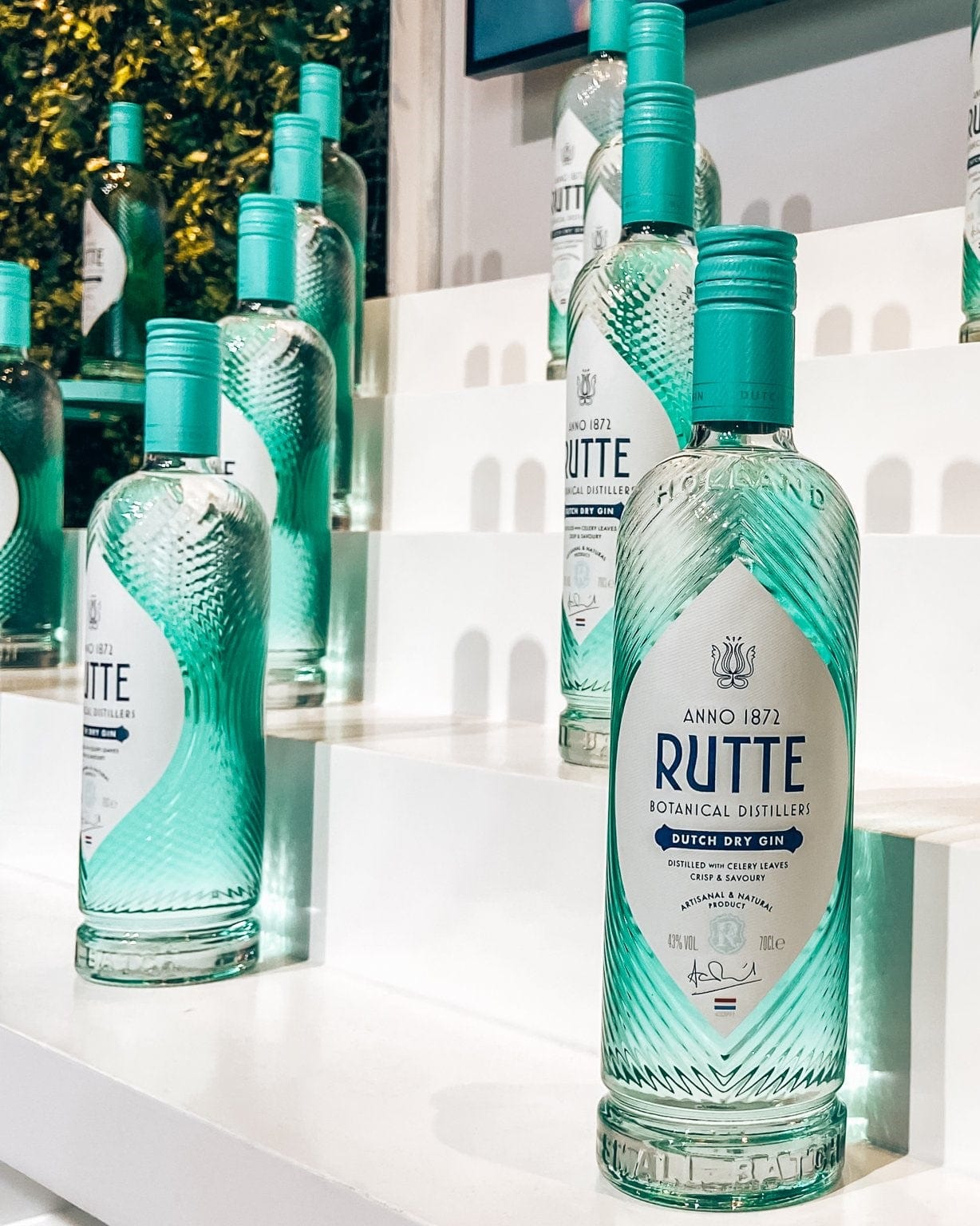 Rutte Dutch Gin