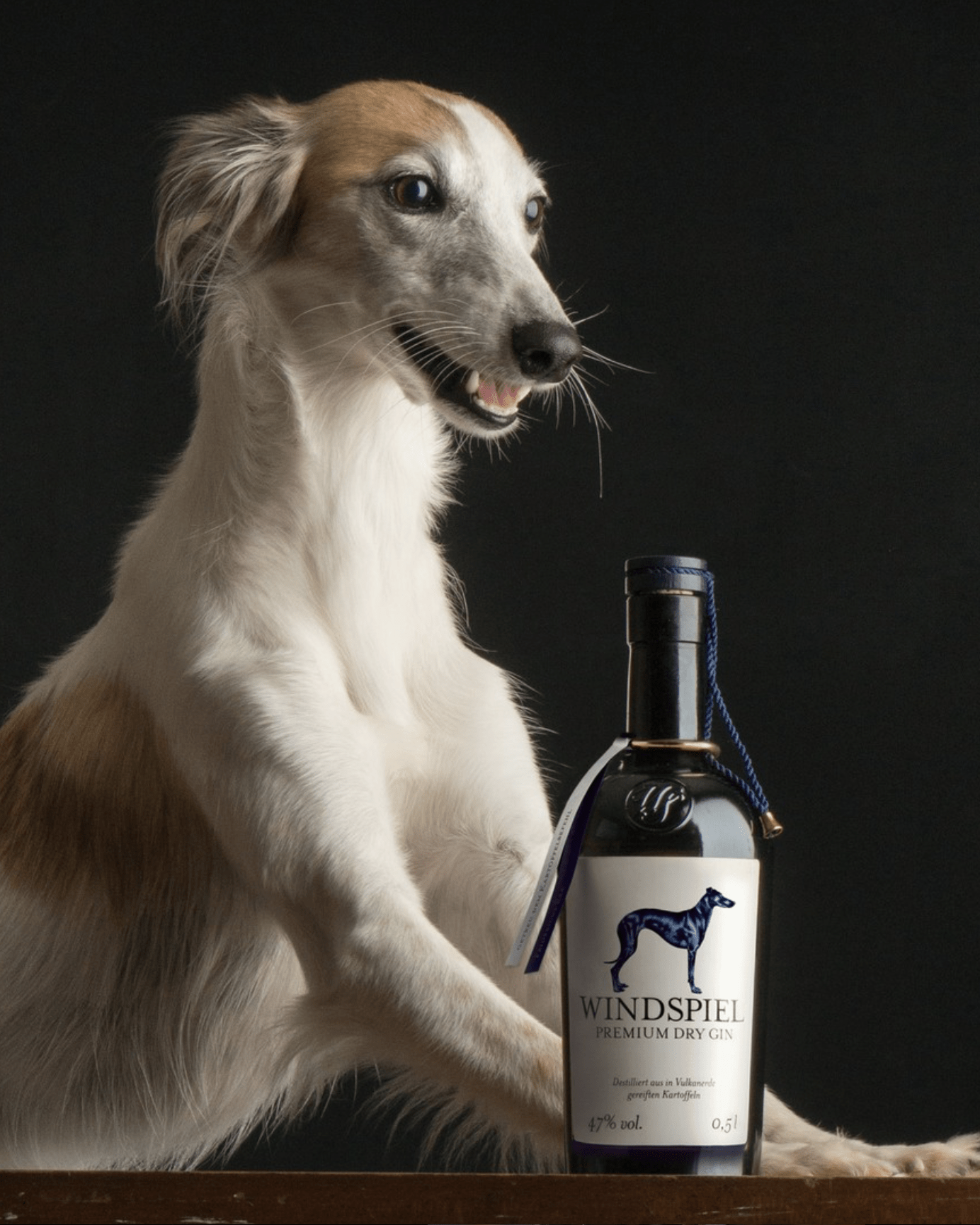 Windspiel Premium Gin