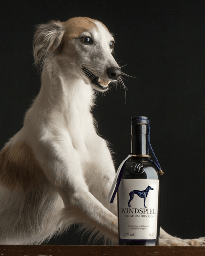 Windspiel Premium Gin