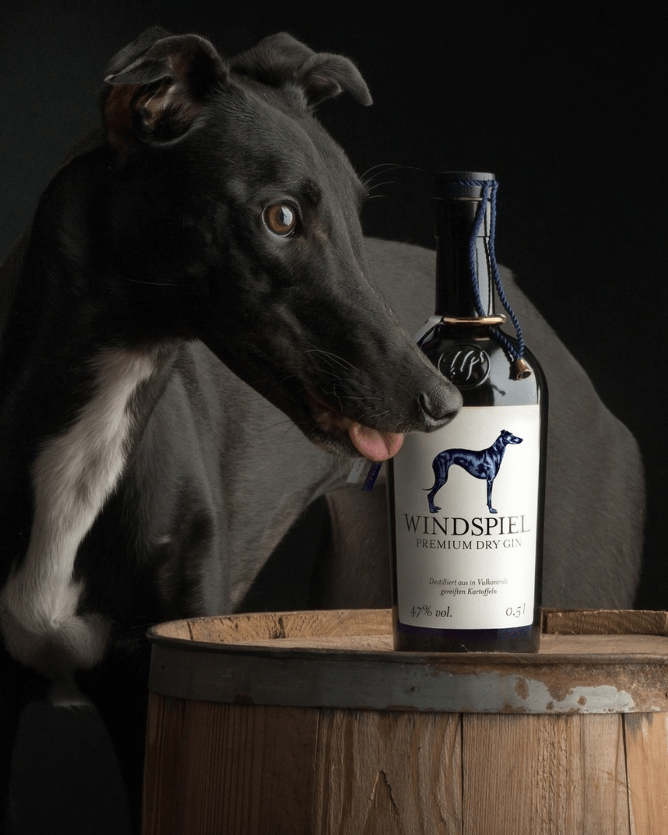 Windspiel Premium Gin